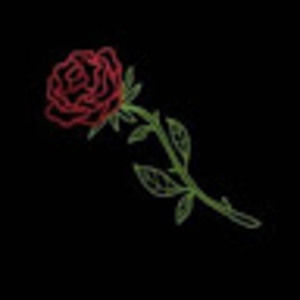 Meet your Posher, Joey